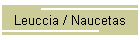 Leuccia / Naucetas