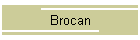 Brocan