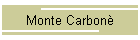 Monte Carbon