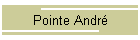 Pointe Andr