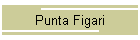 Punta Figari