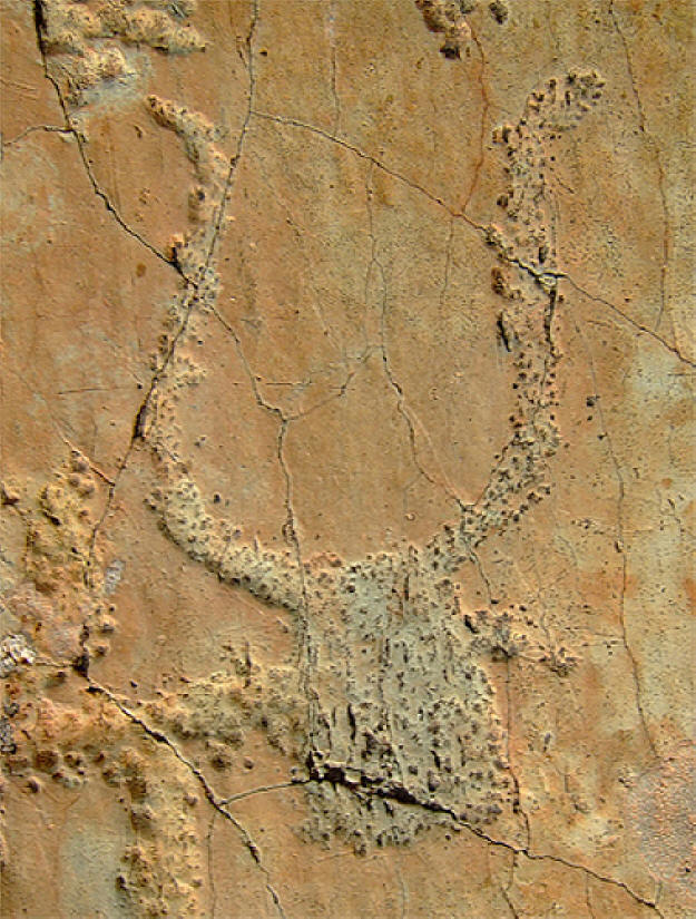 gravure rupestre 3 da Matthieu LIENART.